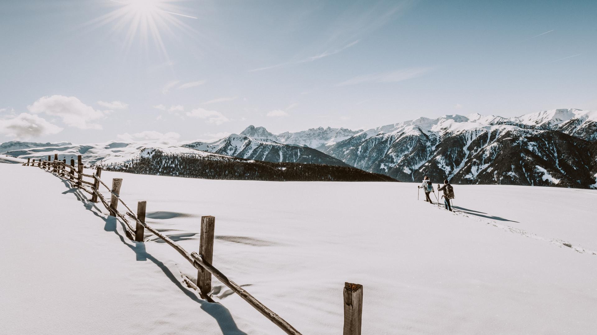 Winter Landscape