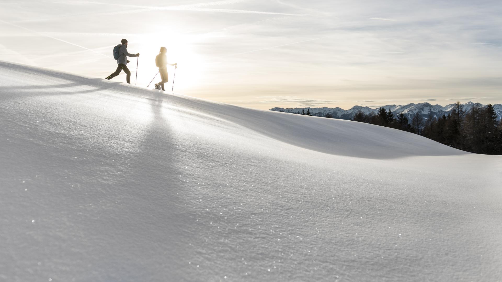 Winter Evening Hike