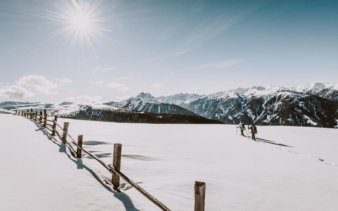 Winter Landscape