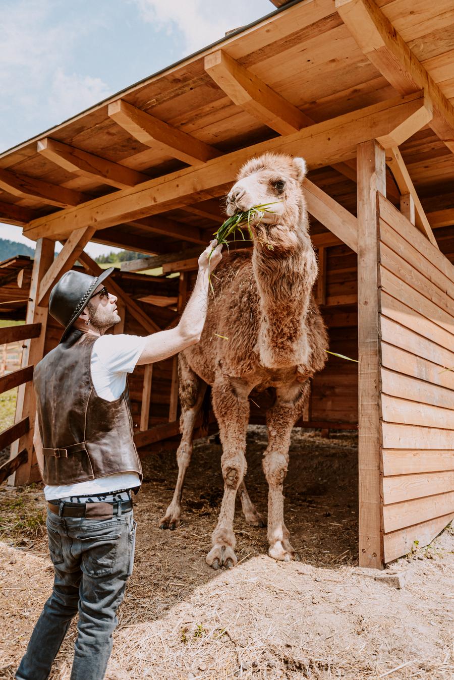 Mama Ulli's Family Ranch