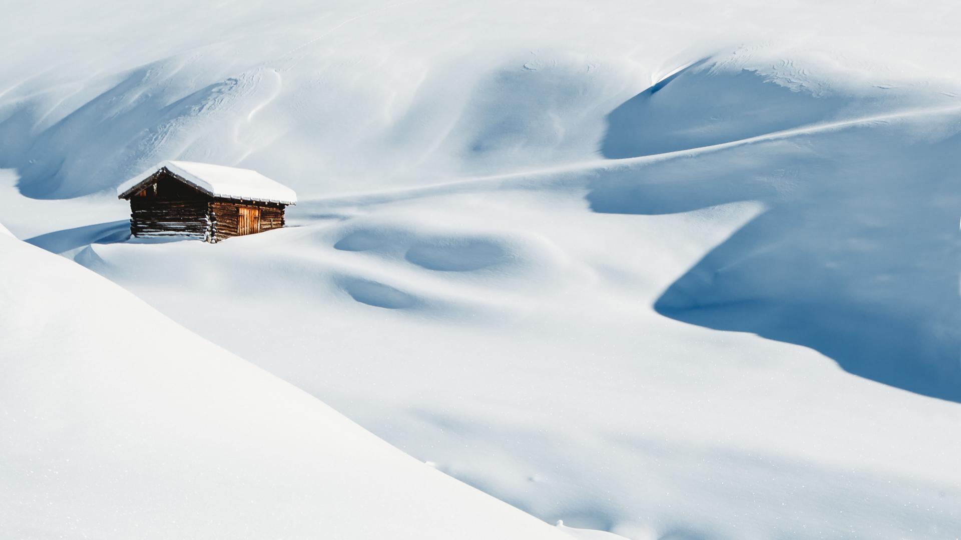 Winter Nature