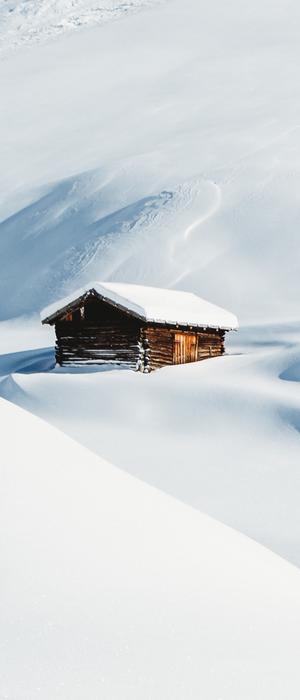 Winter Nature