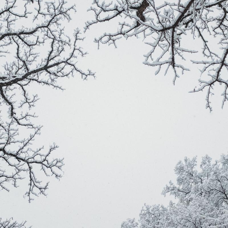 Winter Nature
